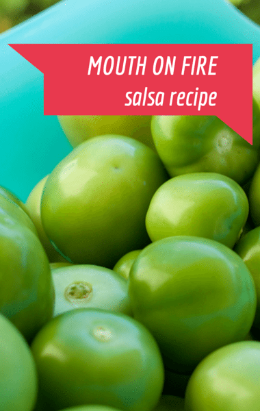 The Talk: Curtis Stone Ribeye Steak with Mouth-on-Fire Salsa Recipe