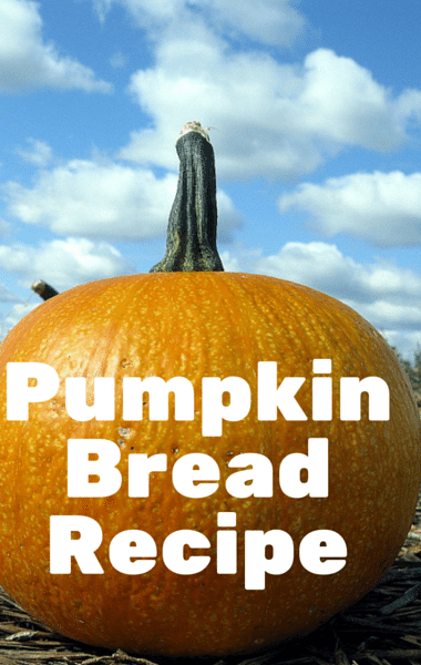 The Chew: Clinton Kelly Date & Walnut Pumpkin Bread Recipe